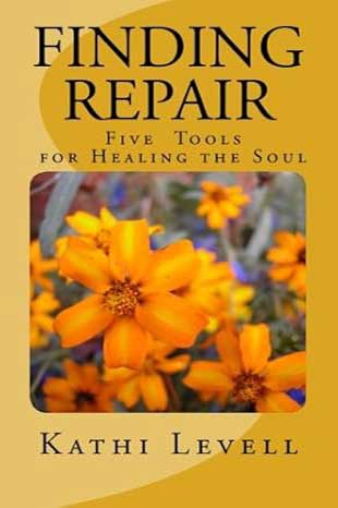 Finding Repair book cover