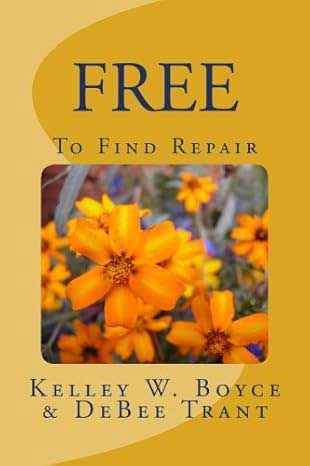 Finding Repair book cover