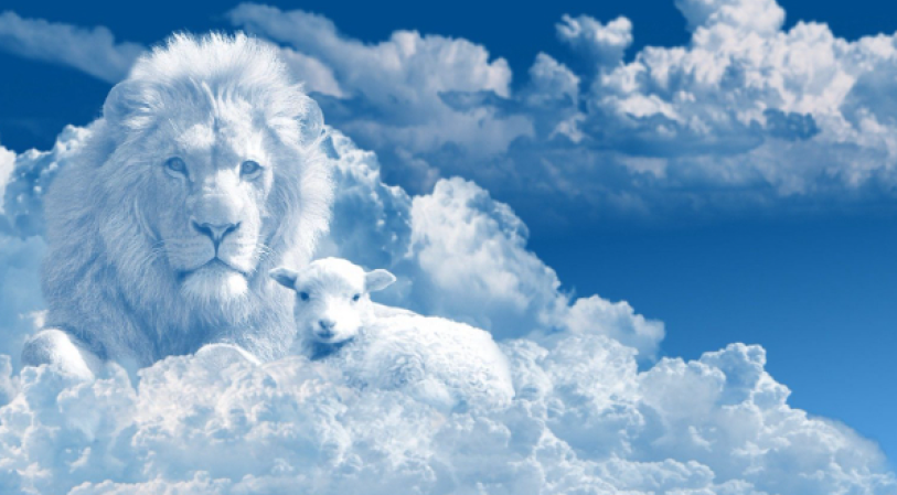 Lion and a lamb in the clouds